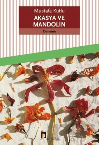 Akasya ve Mandolin – Mustafa Kutlu – Dergah Yayınları kitap kapağı