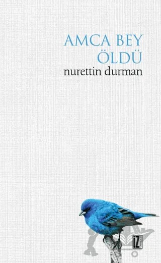 Amca Bey Öldü – Nurettin Durman – İz Yayıncılık kitap kapağı