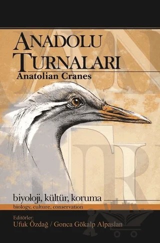 Anadolu Turnaları – Gonca Gökalp Alpaslan, Ufuk Özdağ – Ürün Yayınları kitap kapağı