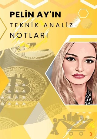 Pelin Ay’ın Teknik Analiz Notları – Pelin Ay – Cinius Yayınları kitap kapağı