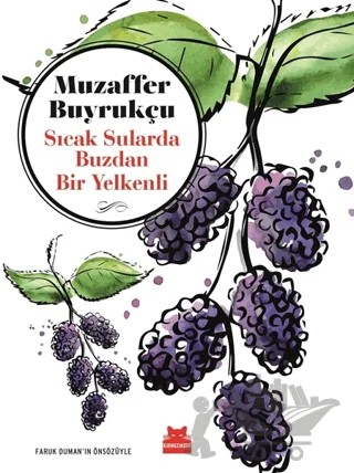 Sıcak Sularda Buzdan Bir Yelkenli – Muzaffer Buyrukçu – Kırmızı Kedi Yayınevi kitap kapağı
