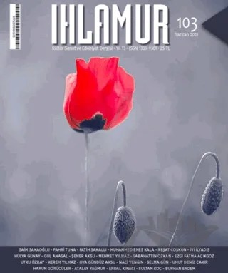 Ihlamur Dergisi Sayı: 103 Haziran 2021 – Ihlamur Dergisi Yayınları kitap kapağı