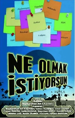 Ne Olmak İstiyorsun – Baybarshan Ali Kazancı – Mola Kitap kitap kapağı
