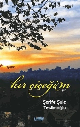 Kır Çiçeğim – Şerife Şule Teslimoğlu – Çimke Yayınevi kitap kapağı