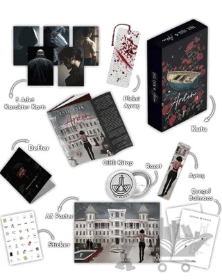 Arden 2 Özel Kutulu Set – Işıl Işık – Artemis Yayınları kitap kapağı