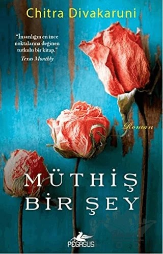 Müthiş Bir Şey – Chitra Banerjee Divakaruni – Pegasus Yayınları kitap kapağı