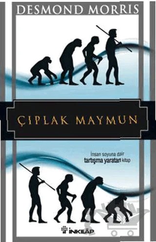 Çıplak Maymun – Desmond Morris – İnkılap Kitabevi kitap kapağı