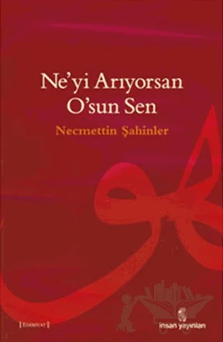 Ne’yi Arıyorsan O’sun Sen – Necmettin Şahinler – İnsan Yayınları kitap kapağı