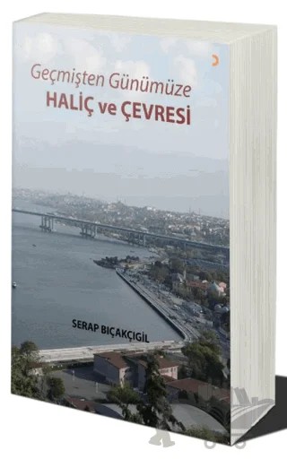 Geçmişten Günümüze - Haliç ve Çevresi – Serap Bıçakçıgil – Cinius Yayınları kitap kapağı
