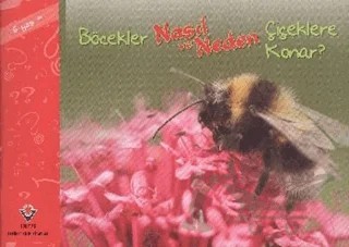 Böcekler Nasıl ve Neden Çiçeklere Konar? – Elaine Pascoe – TÜBİTAK Yayınları kitap kapağı