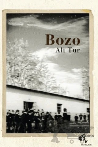 Bozo – Ali Tur – Papirüs Yayınevi kitap kapağı