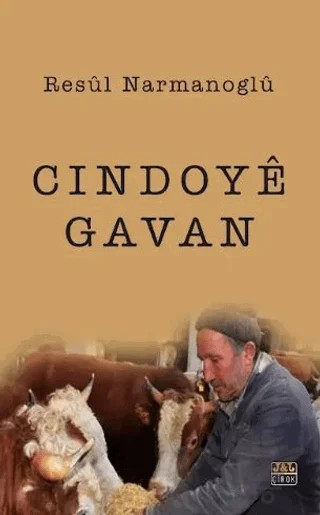 Cindoyê Gavan – Resul Narmanoglu – J&J Yayınları kitap kapağı