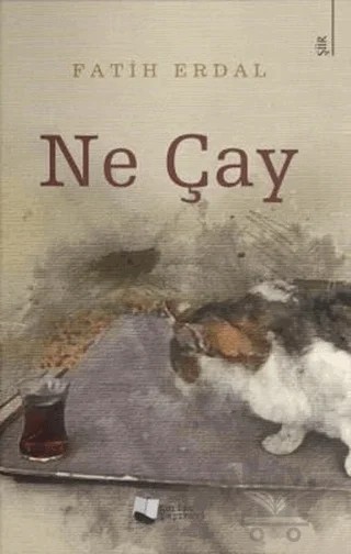 Ne Çay – Fatih Erdal – Karina Yayınevi kitap kapağı
