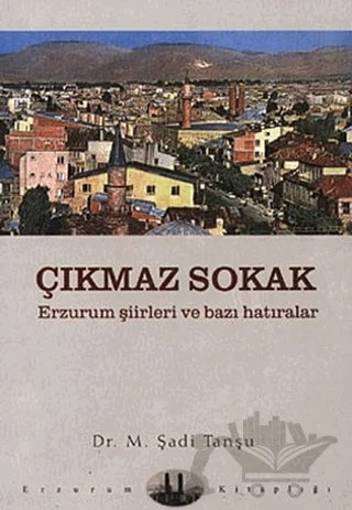 Çıkmaz Sokak – M. Şadi Tanşu – Dergah Yayınları kitap kapağı