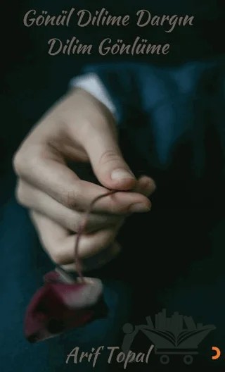Gönül Dilime Dargın Dilim Gönlüme – Arif Topal – Cinius Yayınları kitap kapağı