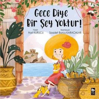 Gece Diye Bir Şey Yoktur! – Nuri Kurucu – Bilgi Yayınevi kitap kapağı