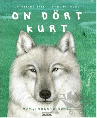 On Dört Kurt – Catherine Barr – Ketebe Çocuk kitap kapağı