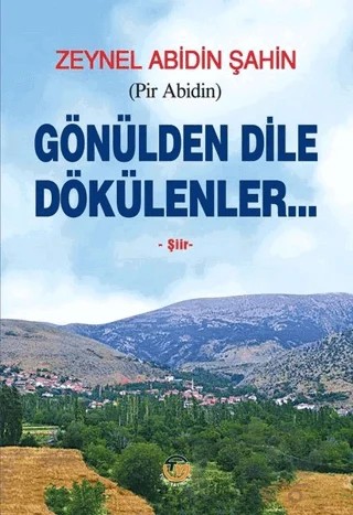 Gönülden Dile Dökülenler – Zeynel Abidin Şahin – Tunç Yayıncılık kitap kapağı
