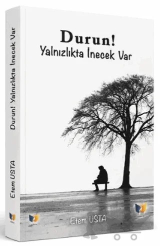 Durun Yalnızlıkta İnecek Var – Etem Usta – Ateş Yayınları kitap kapağı