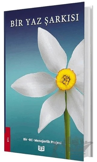 Bir Yaz Şarkısı – Kolektif – Vaveyla Yayıncılık kitap kapağı