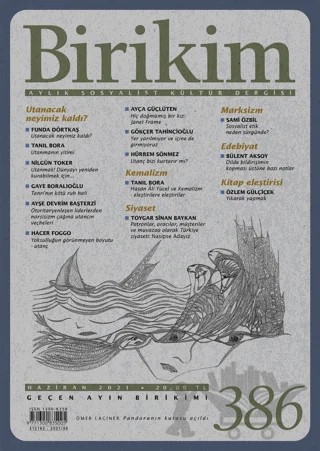 Birikim Aylık Sosyalist Kültür Dergisi Sayı: 386 Haziran 2021 – Birikim Yayınları kitap kapağı