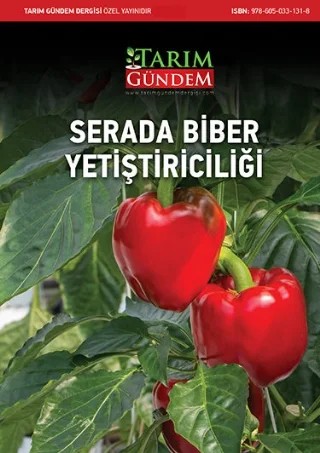 Serada Biber Yetiştiriciliği – Tarım Gündem Dergisi kitap kapağı