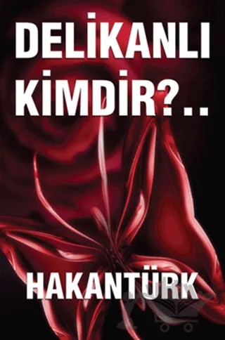 Delikanlı Kimdir? – Hakan Türk – Akademi TV. Programcılık kitap kapağı