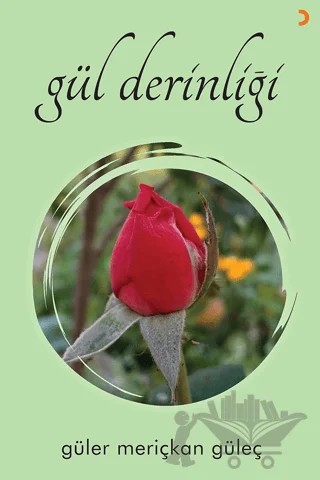 Gül Derinliği – Güler Meriçkan Güleç – Cinius Yayınları kitap kapağı