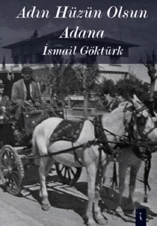 Adın Hüzün Olsun Adana – İsmail Göktürk – İkinci Adam Yayınları kitap kapağı