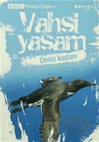 Vahşi Yaşam-Deniz Kuşları – Jonathan Elphick – Boyut Yayın Grubu kitap kapağı