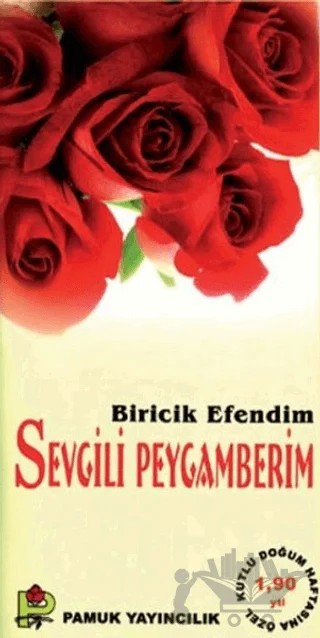 Biricik Efendim Sevgili Peygamberim (Peygamber-015) – Rahmi Serin – Pamuk Yayıncılık kitap kapağı