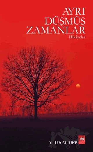 Ayrı Düşmüş Zamanlar – Yıldırım Türk – Ötüken Neşriyat kitap kapağı