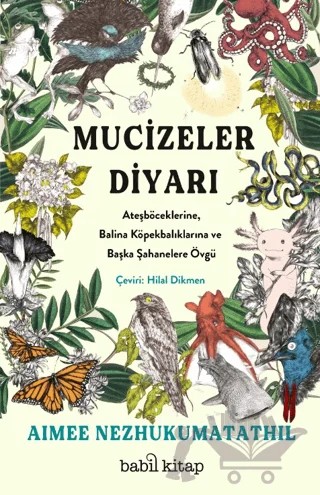Mucizeler Diyarı: Ateşböceklerine, Balina Köpekbalıklarına ve Başka Şahanelere Övgü – Aimee Nezhukumatathil – Babil Kitap kitap kapağı