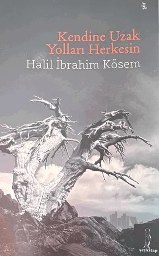 Kendine Uzak Yolları Herkesin – Halil İbrahim Kösem – Şey Kitap kitap kapağı