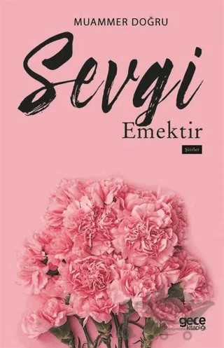 Sevgi Emektir – Muammer Doğru – Gece Kitaplığı kitap kapağı