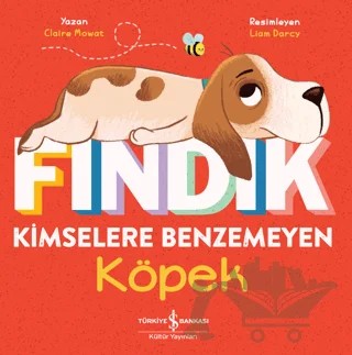 Fındık Kimselere Benzemeyen Köpek – Claire Mowat – İş Bankası Kültür Yayınları kitap kapağı