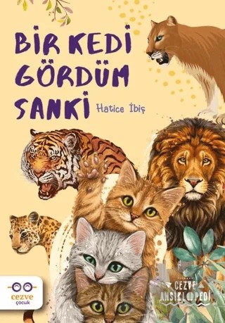 Bir Kedi Gördüm Sanki – Hatice İbiş – Cezve Çocuk kitap kapağı