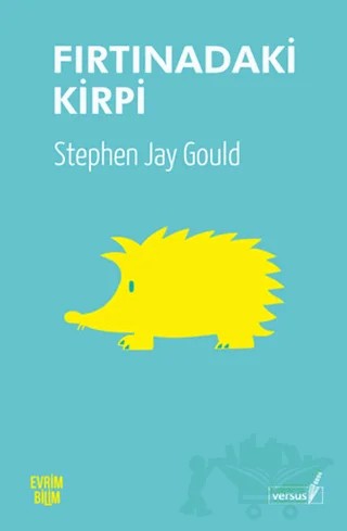 Fırtınadaki Kirpi – Stephen Jay Gould – Versus Kitap Yayınları kitap kapağı