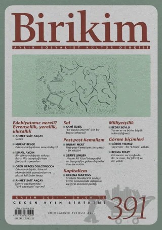 Birikim Sayı 391 Aylık Sosyalist Kültür Dergisi Kasım 2021 – Birikim Yayınları kitap kapağı