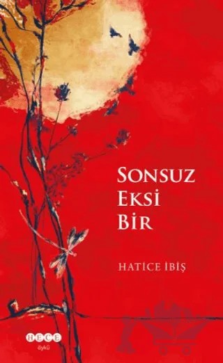 Sonsuz Eksi Bir – Hatice İbiş – Hece Yayınları kitap kapağı