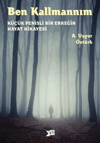 Ben Kallmannım – A. Uygur Öztürk – Altıkırkbeş Yayınları kitap kapağı