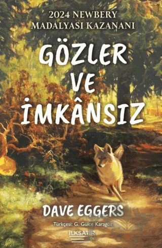 Gözler ve İmkansız – Dave Eggers – İlksatır Yayınevi kitap kapağı