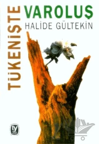 Tükenişte Varoluş – Halide Gültekin – Tekin Yayınevi kitap kapağı