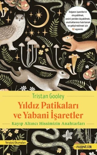 Yıldız Patikaları ve Yabani İşaretler Kayıp Altıncı Hissimizin Anahtarları – Tristan Gooley – Avantür Kitap kitap kapağı