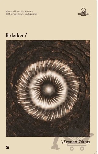 Birlerken – Zeynep Oktay – Epona Kitap kitap kapağı