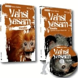 Vahşi Yaşam-Primatlar – Amy-Jane Beer, Pat Morris – Boyut Yayın Grubu kitap kapağı