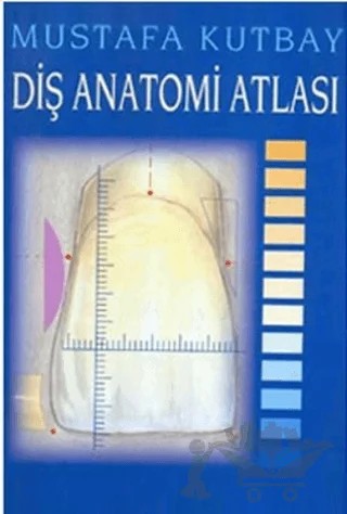 Diş Anatomi Atlası – Mustafa Kutbay – Palme Yayıncılık kitap kapağı