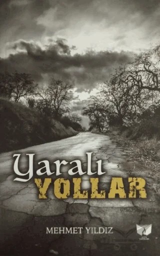 Yaralı Yollar – Mehmet Yıldız – Ateş Yayınları kitap kapağı