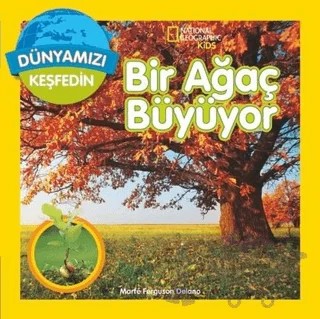 Dünyamızı Keşfedin - Bir Ağaç Büyüyor – Marfe Ferguson Delano – Beta Kids kitap kapağı