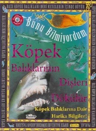 Bunu Bilmiyordum - Köpek Balıklarının Dişleri Dökülür – Flowerpot Press – Teleskop Popüler Bilim kitap kapağı